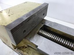 WMW SX 200