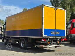 SCANIA P250 Kühlkoffer Carrier 750 LBW 1,5