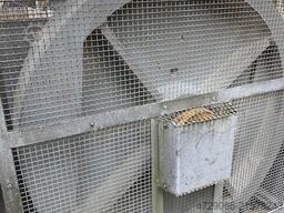 ETC COnsult (Suisse) SA GMP 1209