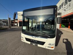 MAN A20/A37 Lion's City Euro 6