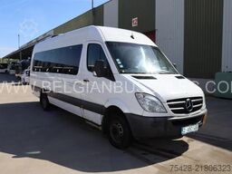 Mercedes-Benz Sprinter 516 / Travel / Transfer 45/Retarder