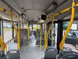 SOLARIS Urbino