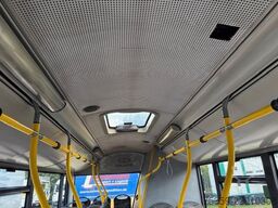 SOLARIS Urbino