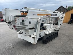 Teupen Leo 30 T (30m)