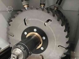Trademak SQUALO 515 LM