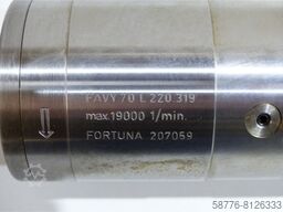  Fortuna FAVY 70 L 220.319 Schleifspindel SN:207059  !