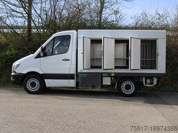 MERCEDES-BENZ Sprinter 310 ColdCar 3+3 Türen -33°C
