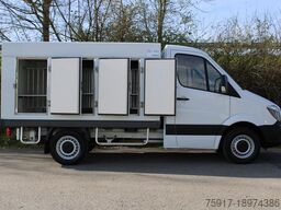 MERCEDES-BENZ Sprinter 310 ColdCar 3+3 Türen -33°C