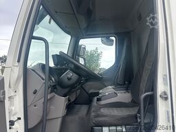 DAF LF 250 EURO 5 15 T FURGON EEV