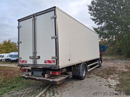 SCANIA P 310