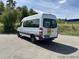 Mercedes-Benz 315 CDI 4x4 20 Plätze / Swiss-Vehicle