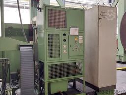 WOTAN Rapid Rapid 5