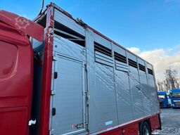 SCANIA G380 BL 4x2 1.Stock Menke-Janzen Viehw. *UNFALL*