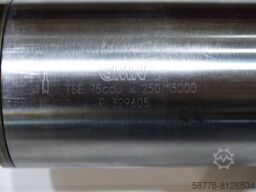 GMN TSE 75cdu  x 250/15000 Hochgeschwindigkeitsspindel