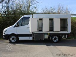 MERCEDES-BENZ Sprinter 310 ColdCar 3+3 Türen -33°C