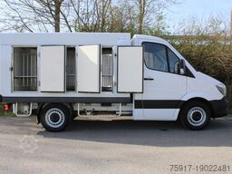 MERCEDES-BENZ Sprinter 310 ColdCar 3+3 Türen -33°C