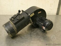 ATEX DNG 5-19