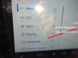 FORD Tourneo Custom Sport 320 L1 AWD Stndhz Matrix