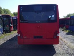 MAN A 20 Lions City, Euro 5, : 1653