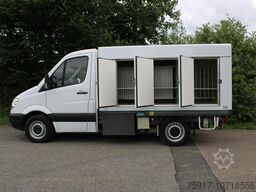 MERCEDES-BENZ Sprinter 310 ColdCar 3+3 Türen -33°C