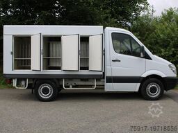 MERCEDES-BENZ Sprinter 310 ColdCar 3+3 Türen -33°C