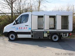 MERCEDES-BENZ Sprinter 310 ColdCar 3+3 Türen -33°C