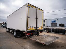 DAF CF 75.310 + THERMO KING