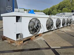 Goedhart VNS 66507 G