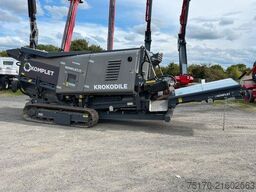 Komplet Krokodile / nur 76h! / 2022 / Schredder