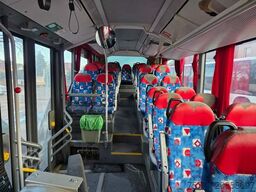 MERCEDES-BENZ Citaro O530 LE, Gurten,  Armlehnen, Gardinen