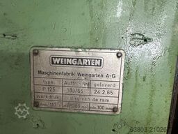 Weingarten P125