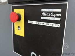 Atlas Copco GA 30 FF - 30 kW Industriekompressor 8,5