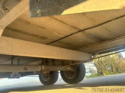  Steinsberger 3-Pferdeanhänger