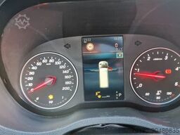 MERCEDES-BENZ 519 und 517 Glasdach XXL 20 Sitze Stock