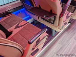 MERCEDES-BENZ 519 und 517 Glasdach XXL  20 Sitze Stock