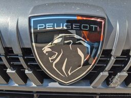 PEUGEOT Boxer 9 Sitzer Airline Boden Ducato Movano