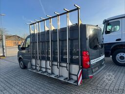 VOLKSWAGEN Crafter Kasten 2.0 TDI 30 mittel L2H1 GLASTRANS