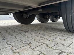 Schmitz Cargobull CARRIER VECTOR 1550 D/E / SAF DISCBRAKES / PALL...