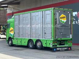 DAF XF 480 LL 6x2 3.Stock Menke Viehwagen m. Hubdach