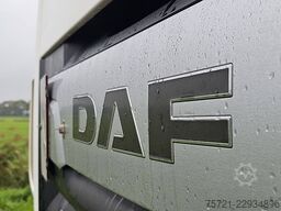 DAF XF 480