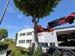 TATRA Phoenix 8x8 mit Fassi F710 + Woodcracker CS590