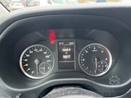 MERCEDES-BENZ Vito Kasten 116 CDI PRO RWD lang Kamera