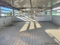 DAF XF 95.430 BERDEX  3 decks. Water, fans, Scales!...