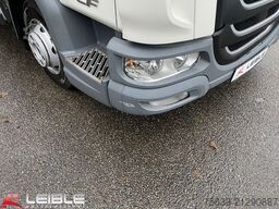 DAF LF 210 FA*DHollandia LBW*486Tkm*Turbo Schaden