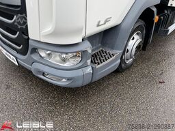 DAF LF 210 FA*DHollandia LBW*486Tkm*Turbo Schaden