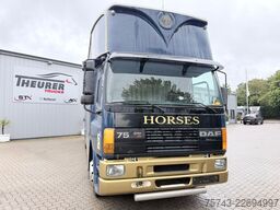 DAF AE 75 Niehoff