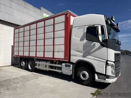 Volvo FH 13 500 6X 26T EURO 6 GANADO