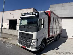 Volvo FH 13 500 6X 26T EURO 6 GANADO