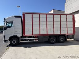 Volvo FH 13 500 6X 26T EURO 6 GANADO