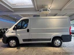 FIAT Ducato Kühlwagen - 0 C.*L1-H1*Kastenwagen*